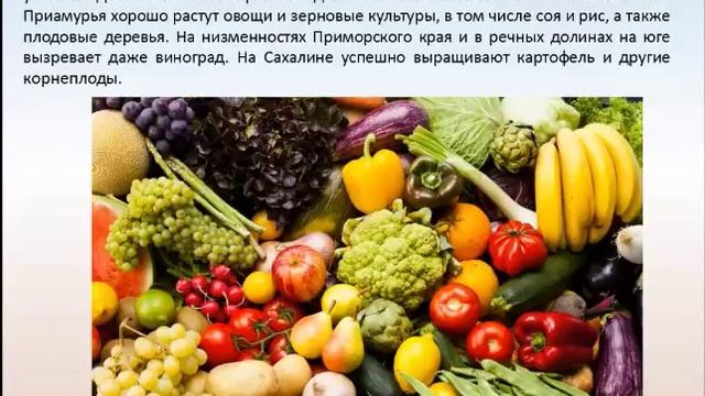 Природные ресурсы Дальнего Востока. География 8 класс. смотреть онлайн