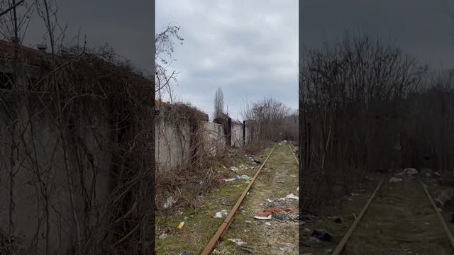 Як живуть бездомні смотреть онлайн