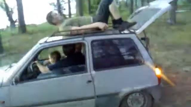 Сухая сосна смотреть онлайн