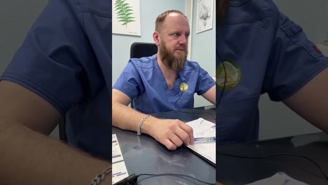 Иван-чай какой выбирать, черный, ферментированный или зелёный