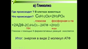 Биология 9 класс. Обеспечение клеток энергией. Людмила Ивановна. Profi-Teacher.ru