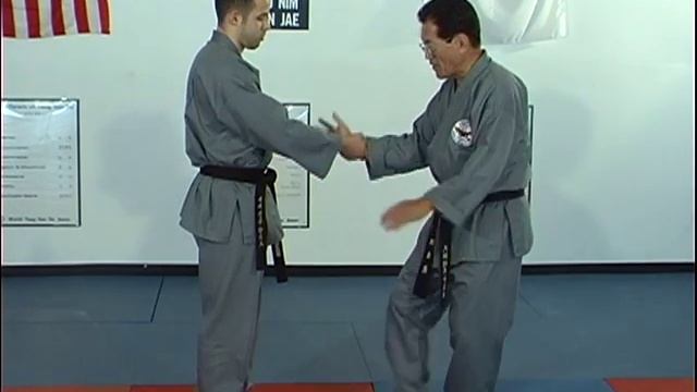Ji, Han Jae Hapkido Cross Hand Technique 1 смотреть онлайн