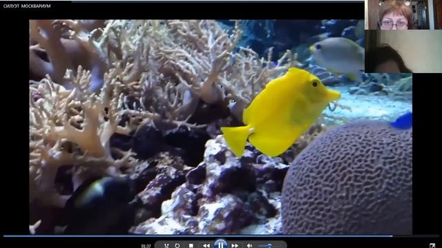 ПОНЯТИЕ СИЛУЭТА  СТИЛИЗАЦИИ