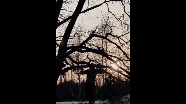 Мотивация