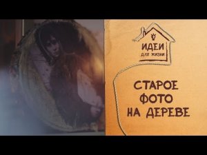 Старое фото на дереве [Идеи для жизни]