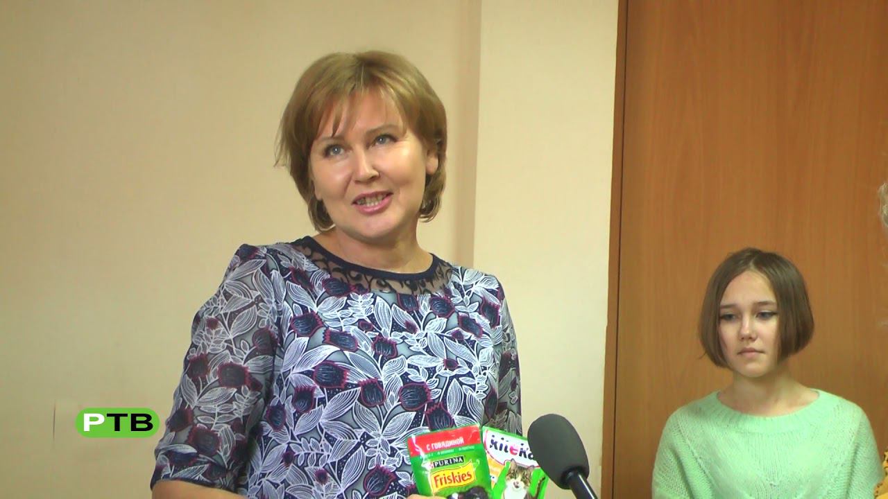 Кошкин дом смотреть онлайн