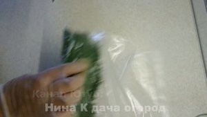 Как заготовить зелень укроп на зиму ЗАМОРОЗКА, СУШКА, ЗАСОЛКА Правильные, проверенные способы.