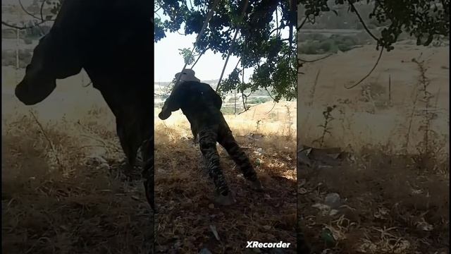 13/8/2023.Sauna,uphill running & exercises & waterfall pond immersion. смотреть онлайн