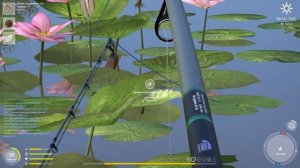 РУССКАЯ РЫБАЛКА 4. Где ловить Буффало на Ахтубе?