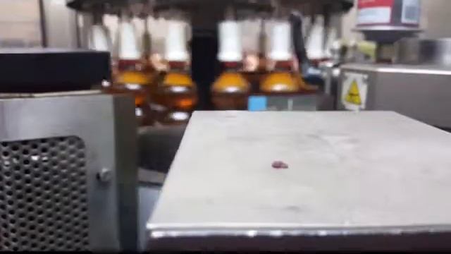 Клей этикеточный| Клей для ПЭТ | Globomelt 1294 | Машина Sacmi Labelling | 17000 бут./час.