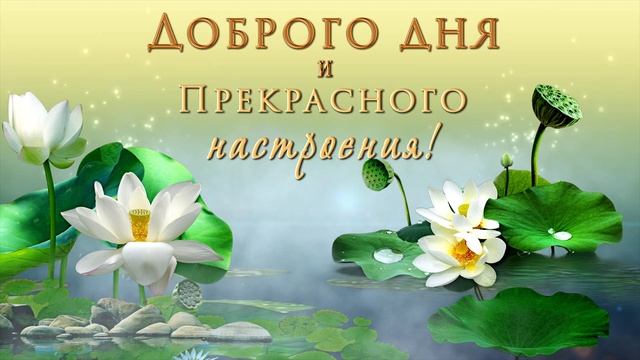??Доброго дня и прекрасного настроения! ??Самое красивое оригинальное пожелание!