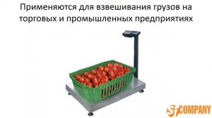 Весы Масса-К ТВ-М