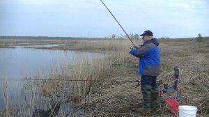 Ловим краснропёрку и плотву. Рыбалка с берега на поплавочную снасть.