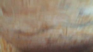 ГУСЯТНИК СВОИМИ РУКАМИ из OSB плиты