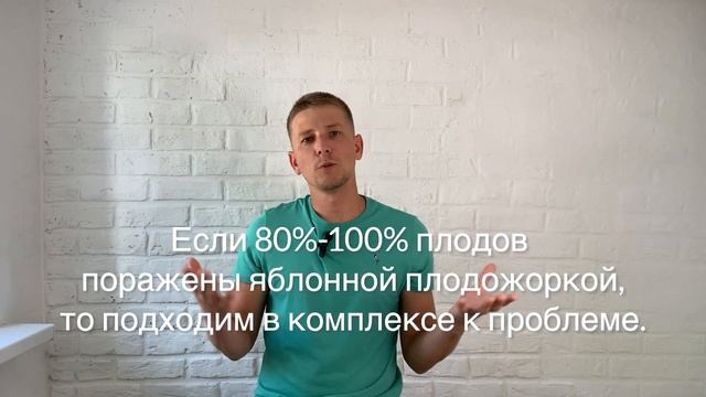 Средство от червивых яблок? Как справиться с яблонной плодожоркой? смотреть онлайн