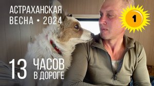 Кошки и собаки после 13 часов пути: не могу, не хочу, не буду