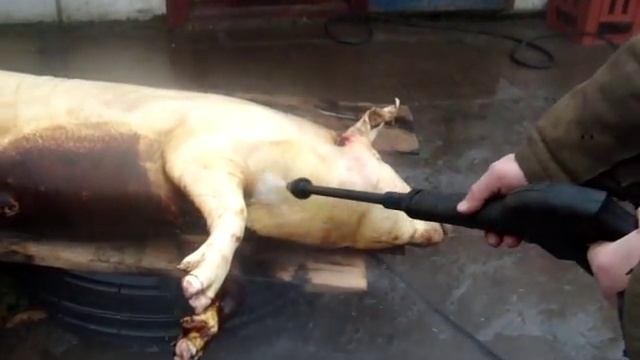 КЕРХЕР И КАБАНЧИК . смотреть онлайн