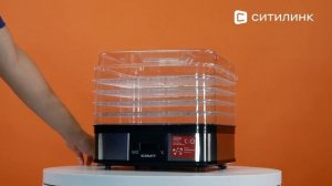Обзор Сушилки для овощей и фруктов Scarlett SC-FD421T19 | Ситилинк
