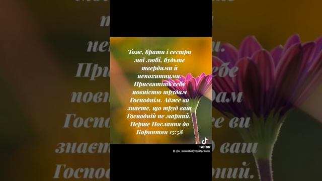 є правда в слові Божомуye. #see #god #jesus #bible