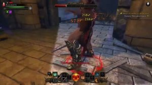 Neverwinter (ПС4)