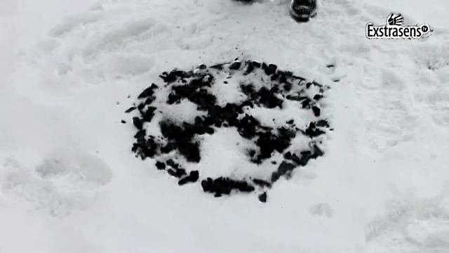 Ритуал на масленицу, сожжение чучела
