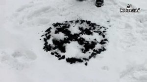 Ритуал на масленицу, сожжение чучела