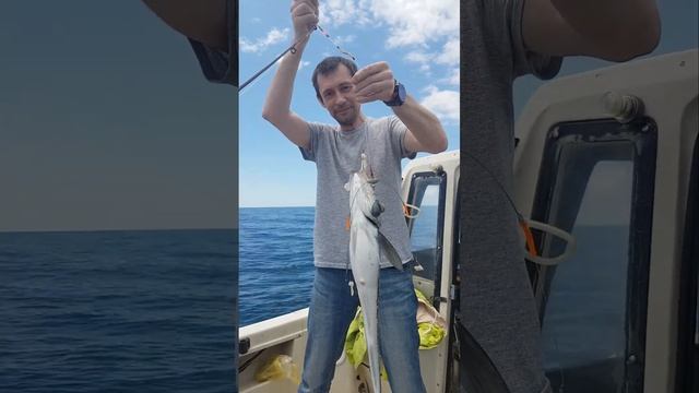 море, лето Владивосток...песенка про РЫБОВ))) смотреть онлайн