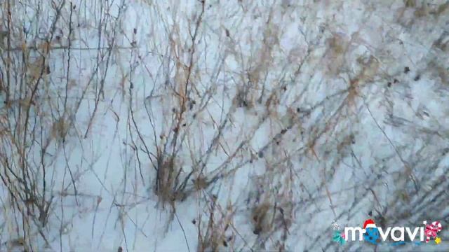 Проверка подпусков. ПУТЕШЕСТВИЯ ОТМОЗКА!! В поисках шиповника. смотреть онлайн