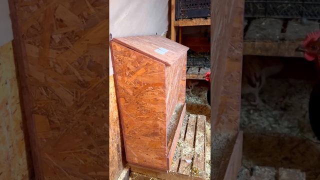 Курятник, кормушки и поилки для кур смотреть онлайн