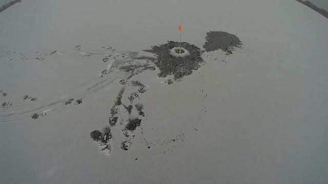 Рыбалка на Ярославском водохранилище! смотреть онлайн