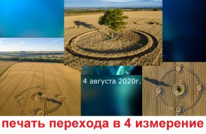 круги на полях 2020 года в Англии расшифровка пиктограммы