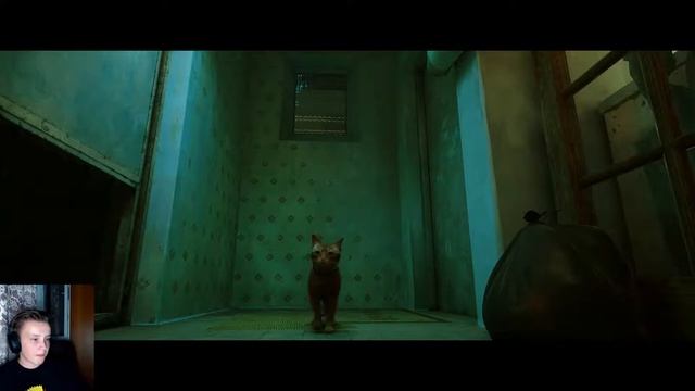STRAY ИГРА ЭНЕРГИЧНЫХ КОШЕК | ПРОХОЖДЕНИЕ #2 смотреть онлайн