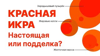 Как отличить настоящую красную икру от искусственной_ Лайфхак.