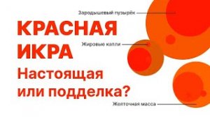 Как отличить настоящую красную икру от искусственной_ Лайфхак.