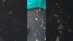 обижают маленьких детей