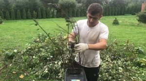 Измельчитель Makita UD 2500