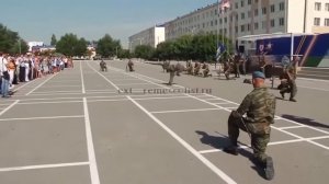 Russian Airborne Troops   Hand To Hand Combat