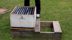 46 Из чего состоит улей Канада