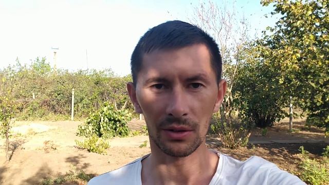 Видение утром во время молитвы смотреть онлайн