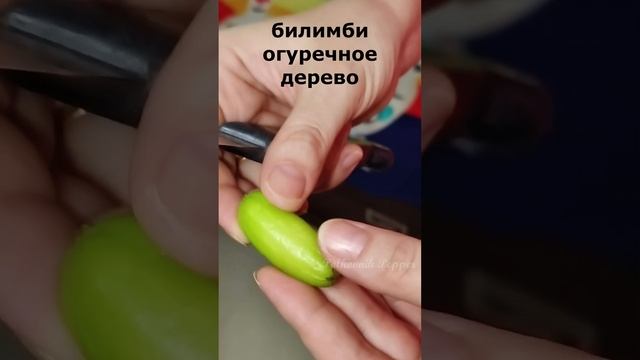 В Индии огурцы растут на деревьях #экзотика #огуречное дерево