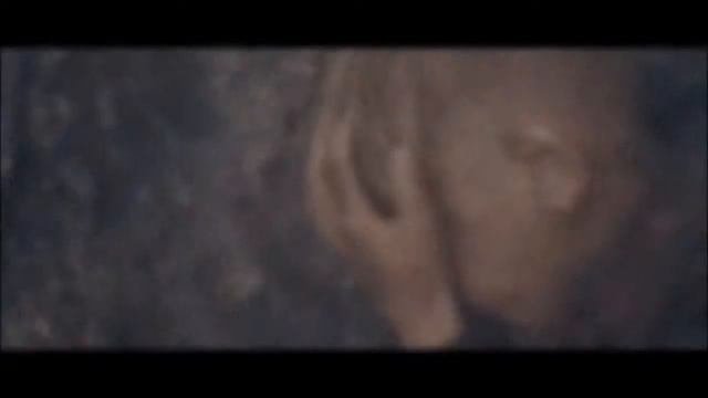 ПОДВИГ ВО ИМЯ МИРА