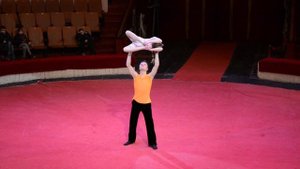 "Пятый элемент" ЦИРК НАДЕЖДА 2017