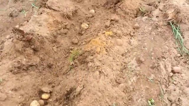 Самодельный дизельный трактор смотреть онлайн