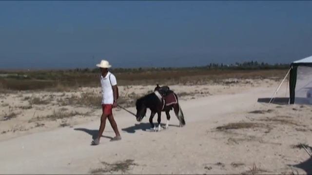 Арабатская стрелка