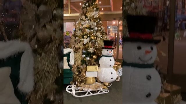 Бруклинский театр Oceana. IMG 34771 смотреть онлайн