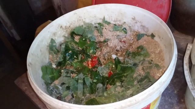 Полезная Добавка в Корм для Яйценоскости и Здоровья Кур❗//Старый Способ Увеличения Яйценоскости Кур