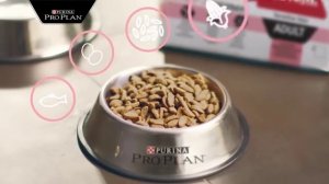 Корма Pro Plan (Про План) для чувствительных собак