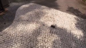 Вилла Марта где отдыхают Алла Пугачёва и Максим Галкин в Юрмале.