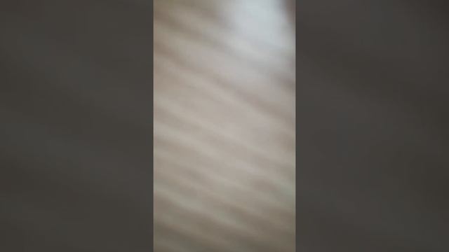 сказка от бабули смотреть онлайн