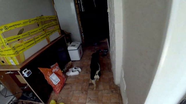 Без монтажа. \\ Наполняем самодельный бассейн из шлакоблока. смотреть онлайн